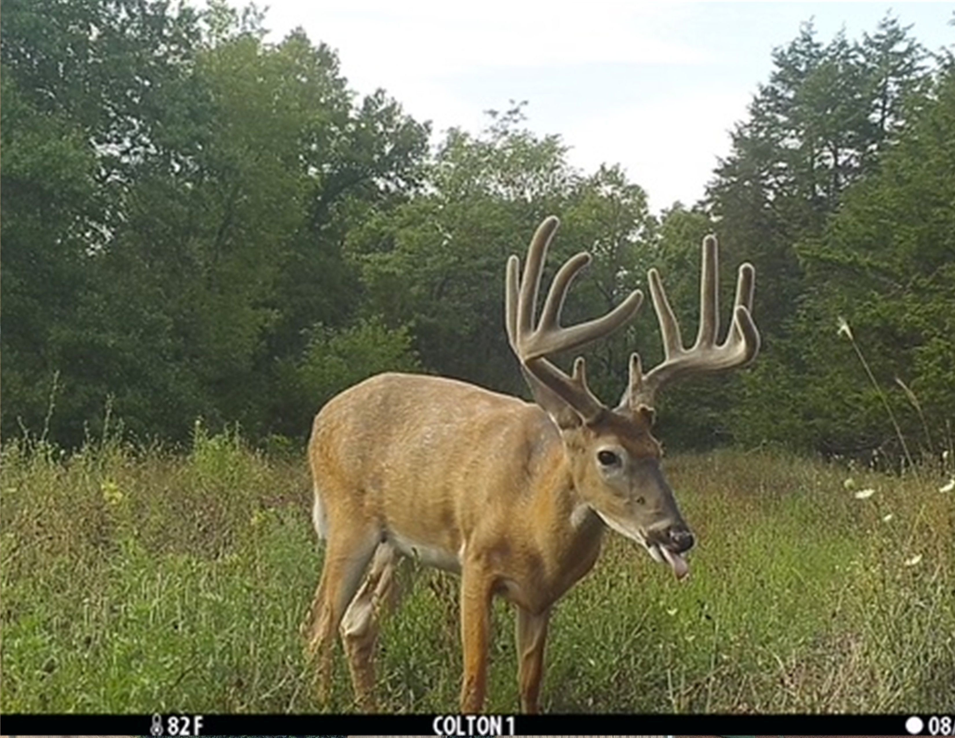 Listing Photo: 18661-IMG_0122 (2) - Copy